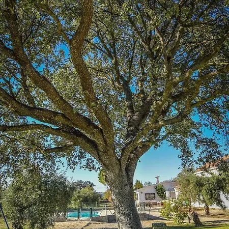 Recreo San Andres Country house Ronda